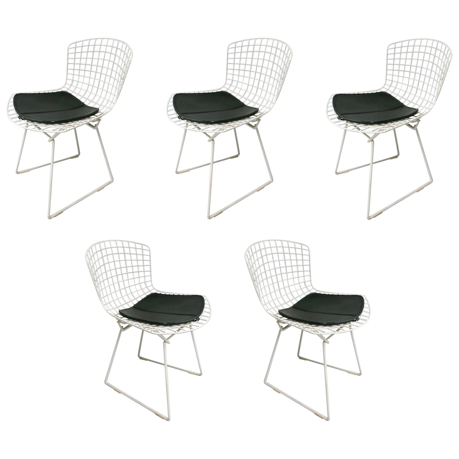 5 Chairs by Harry Bertoia for Knoll, circa 1975