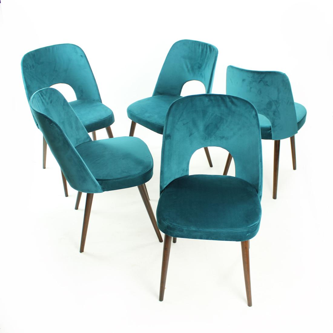 Mid-Century Modern 5 Dining Chairs by Oswald Haerdtl in Velvet for Ton, Czechoslovakia 1950s For Sale