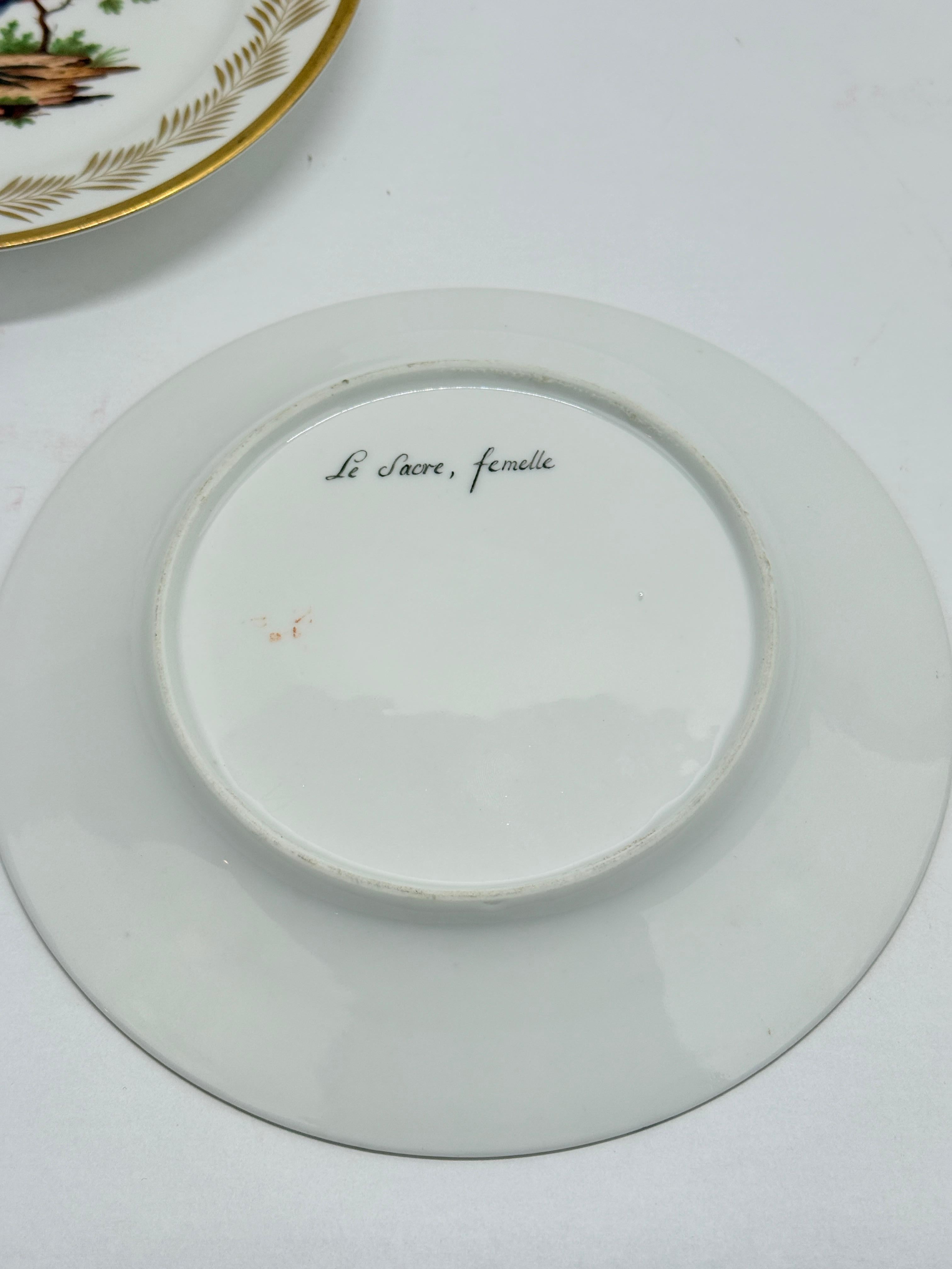 5, French Nast Factory 