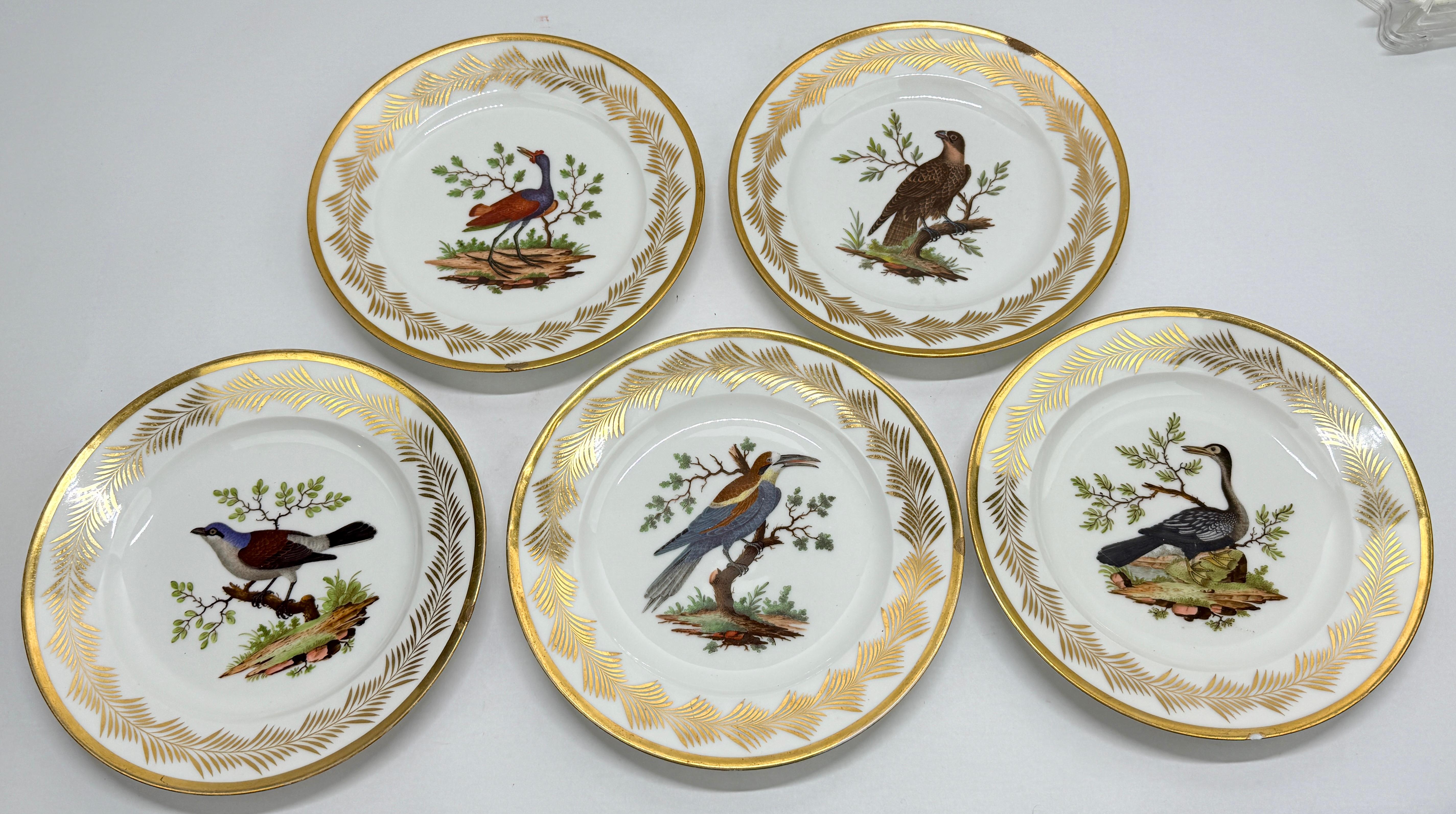 **Set of 5 French Porcelain Ornithological Dessert Plates
Nast Factory, Paris, Early 19th Century**

A refined and rare matched set of five ornithological dessert plates by the esteemed *Manufacture de Nast*, Paris, dating to the early 19th century.