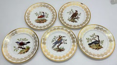 5, French Nast Factory "Ornithological" Porcelain Dessert Plates C. 1815