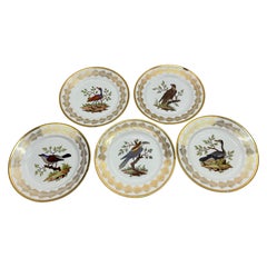 5, French Nast Factory "Ornithological" Porcelain Dessert Plates C. 1815