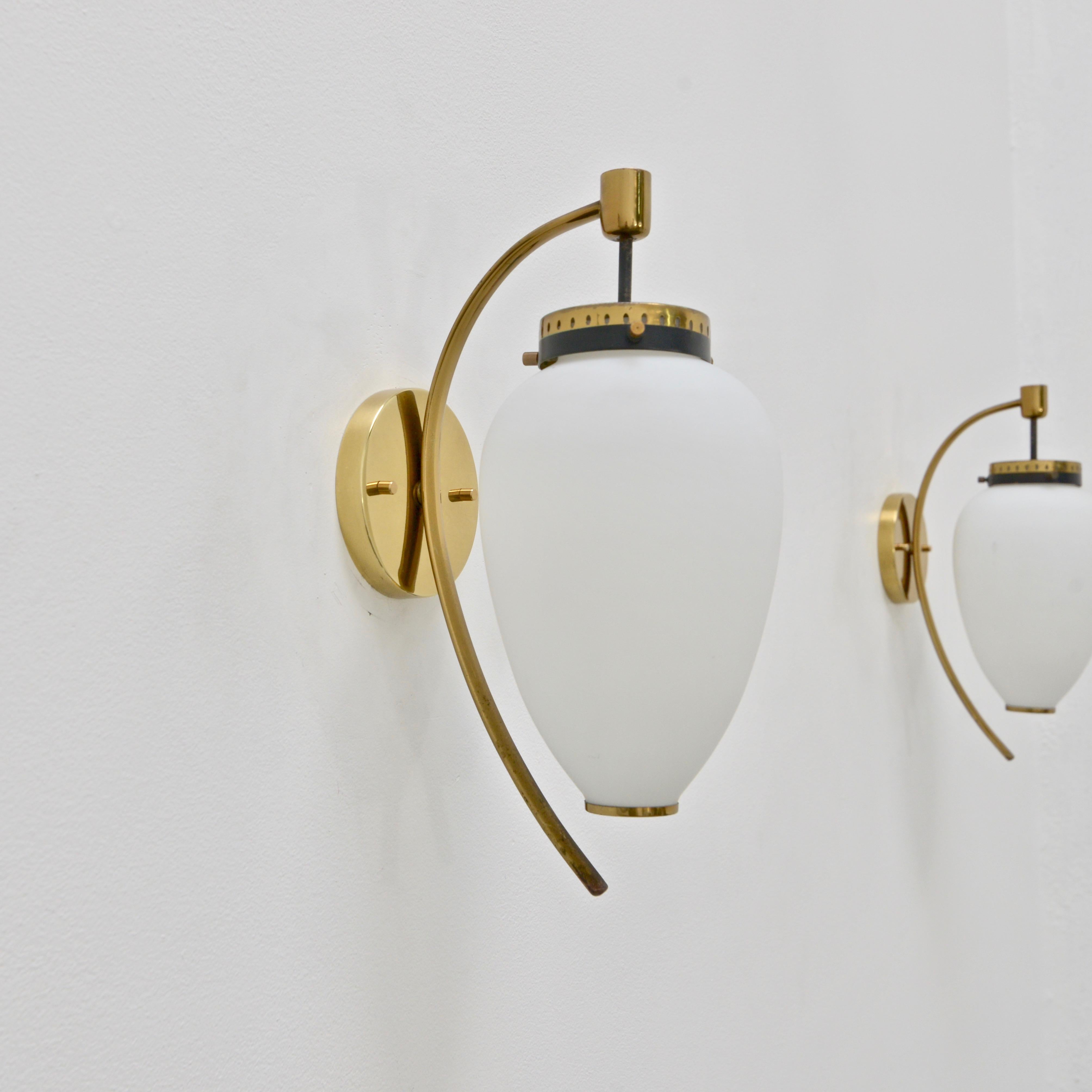 Vintage Italian Stilnovo sconces from the 1950s. In brass and glass. Naturally aged. Single E12 candelabra based socket per sconce. Priced individually. Wired for use in the US. Lightbulb included with order.
Measurements:
Height 13” 
Diameter
