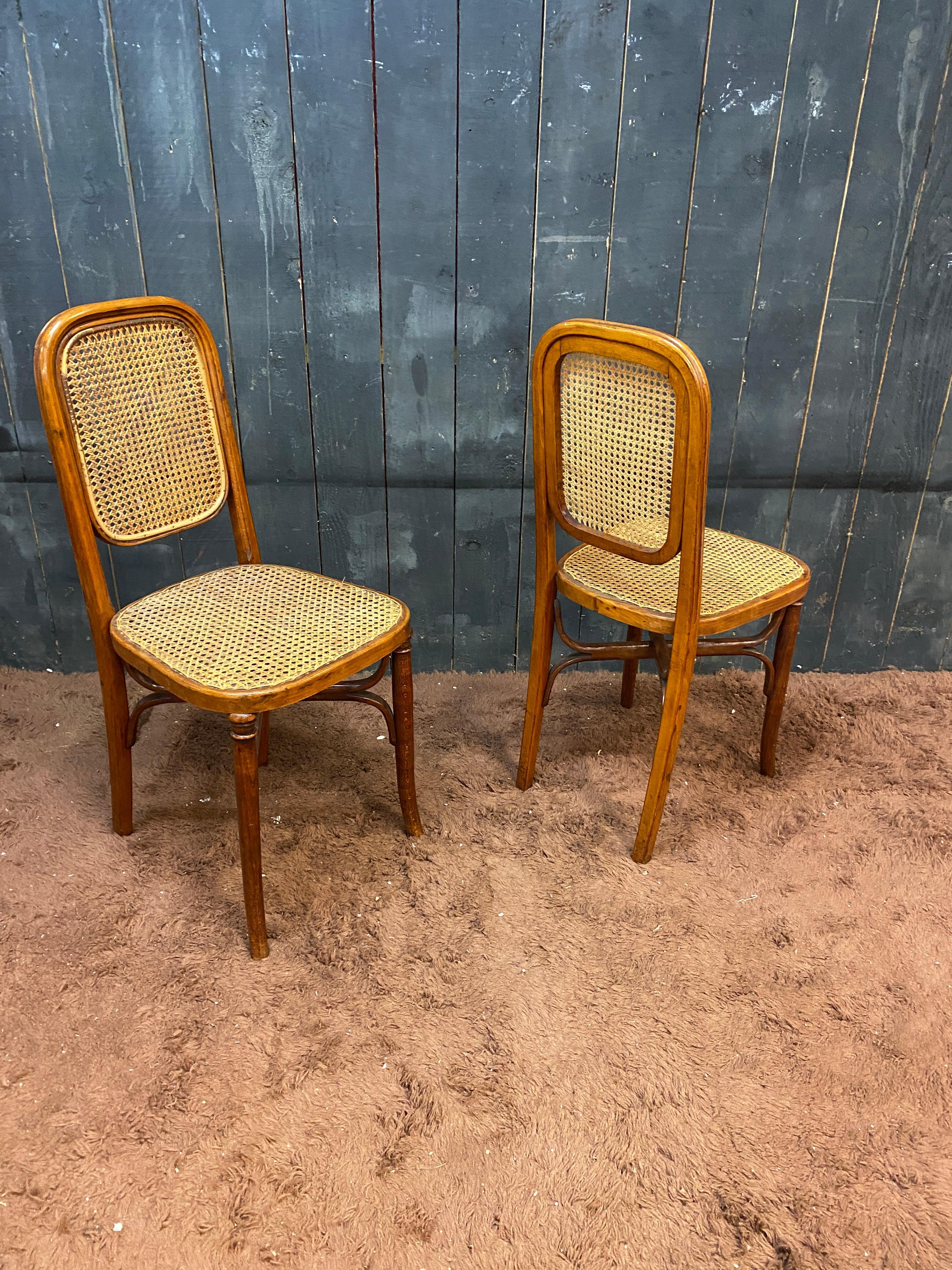 5 Thonet style chairs circa 1900 For Sale 3