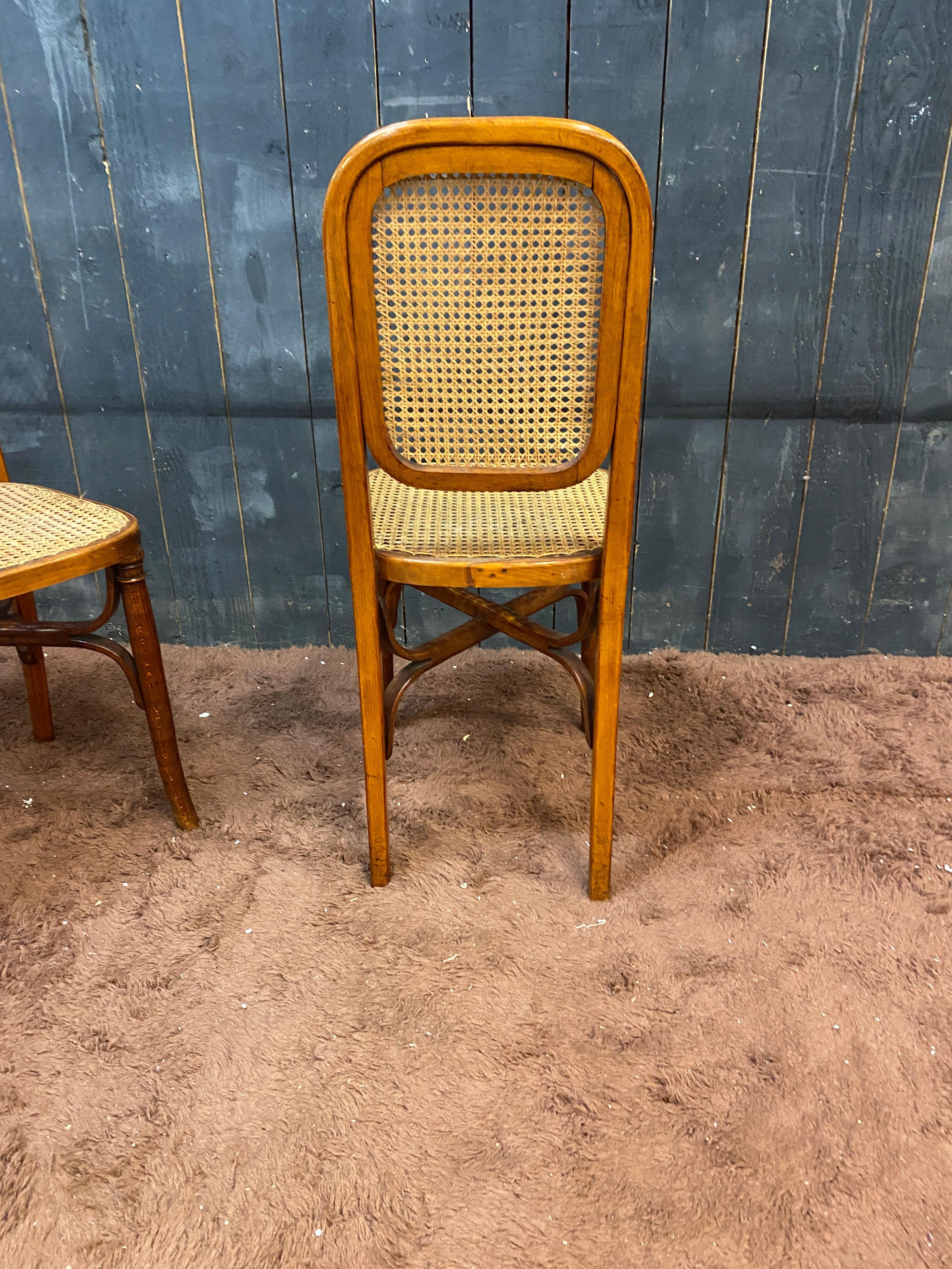 5 Thonet style chairs circa 1900 For Sale 4