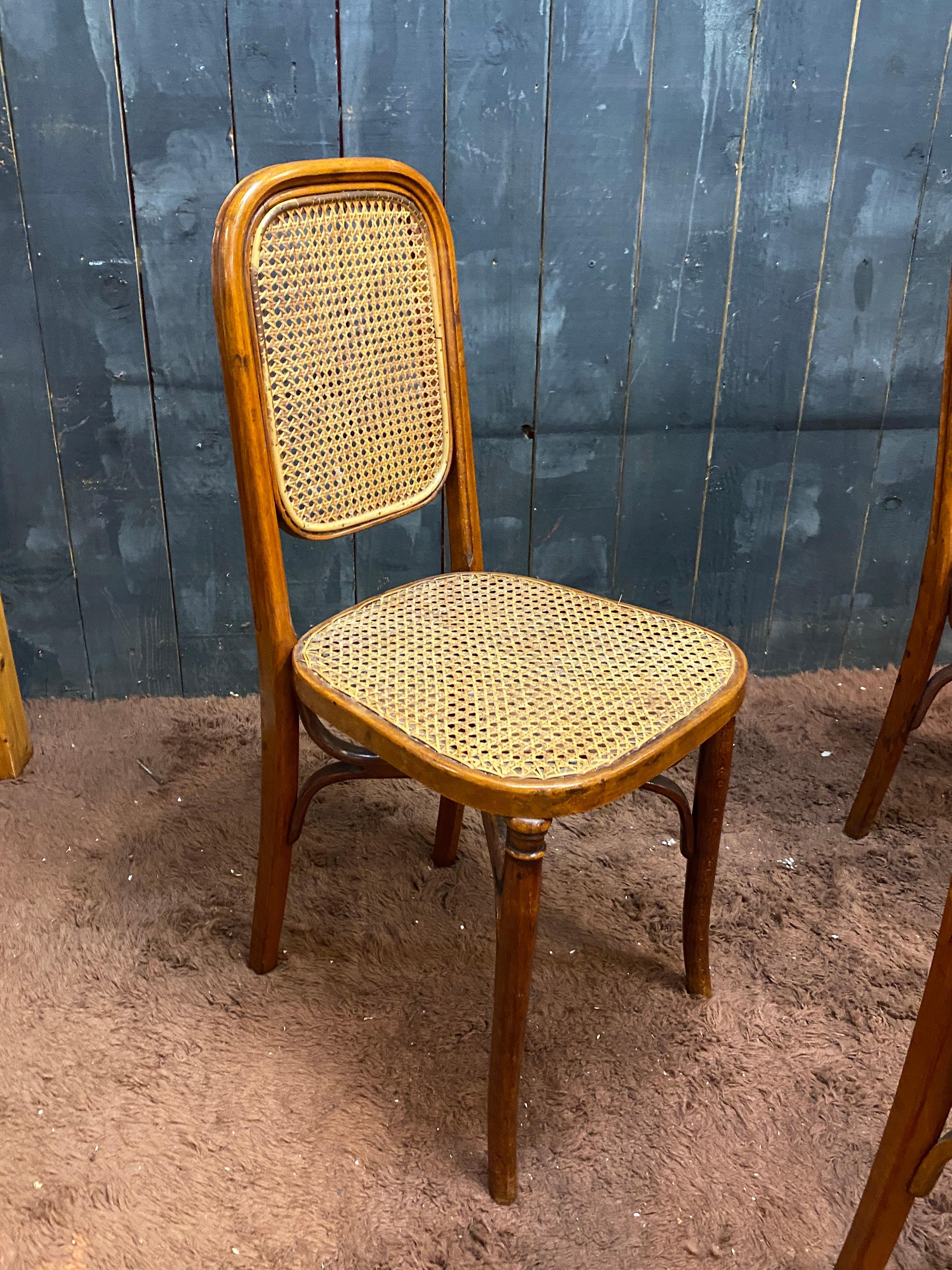Sécession viennoise 5 chaises de style Thonet, circa 1900 en vente