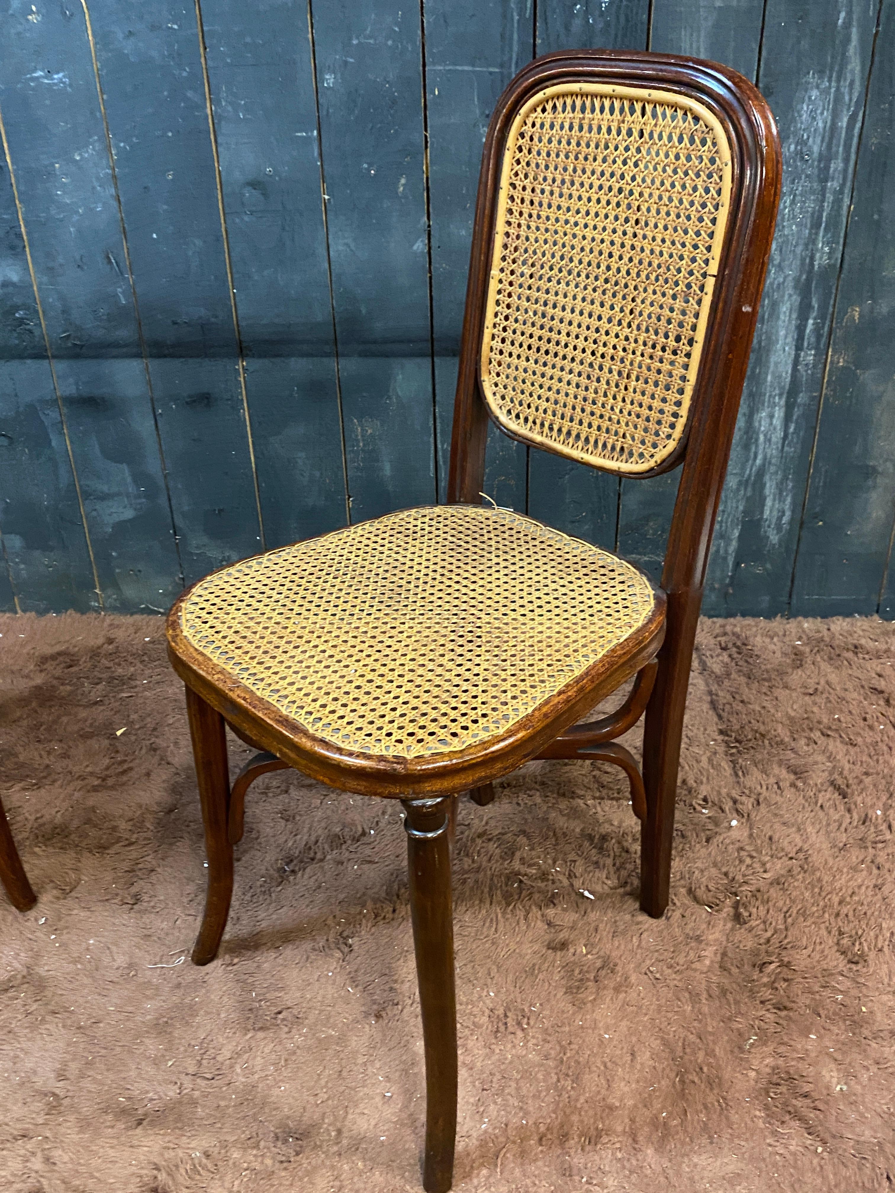 Austrian 5 Thonet style chairs circa 1900 For Sale