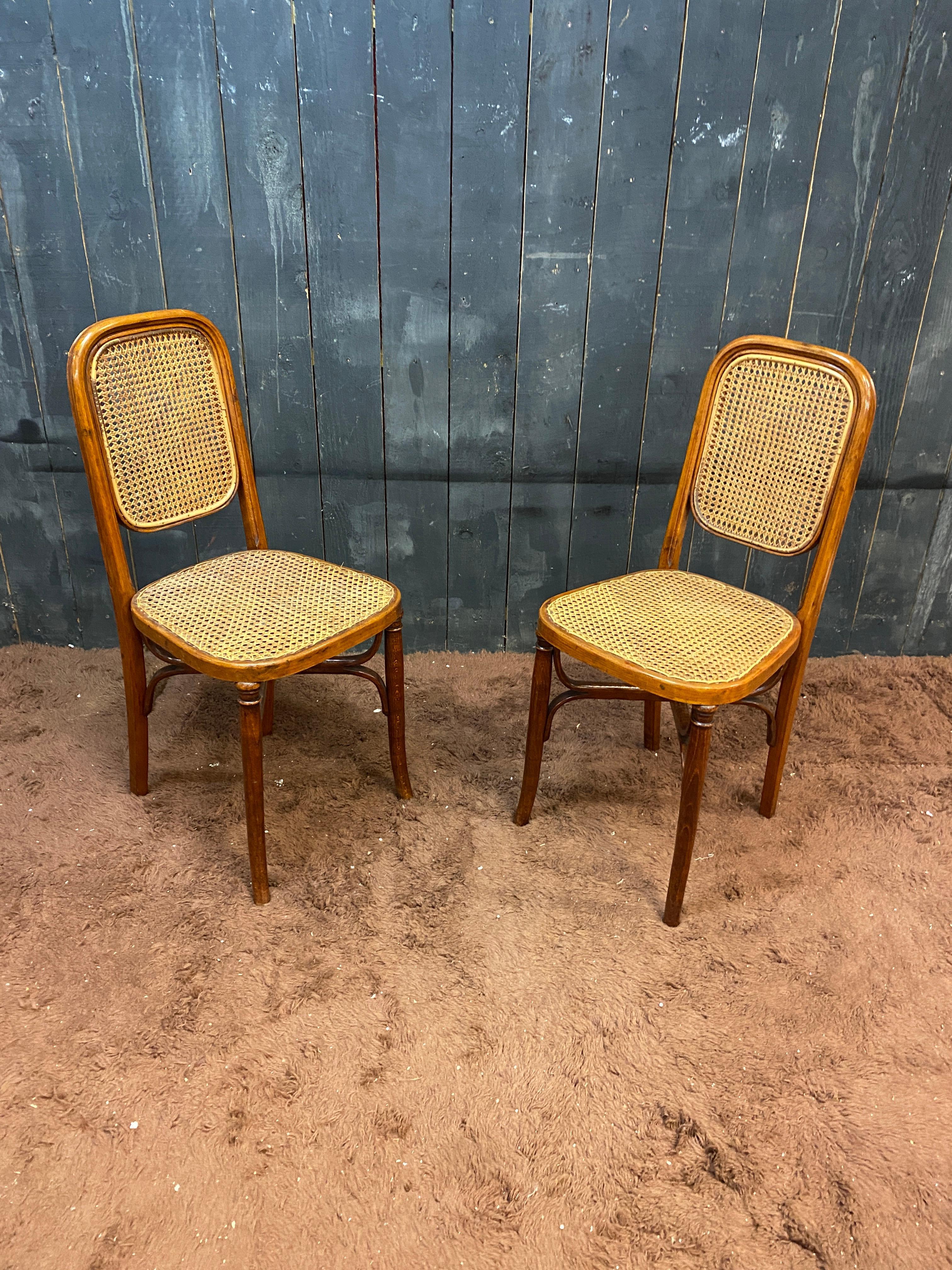 Early 20th Century 5 Thonet style chairs circa 1900 For Sale
