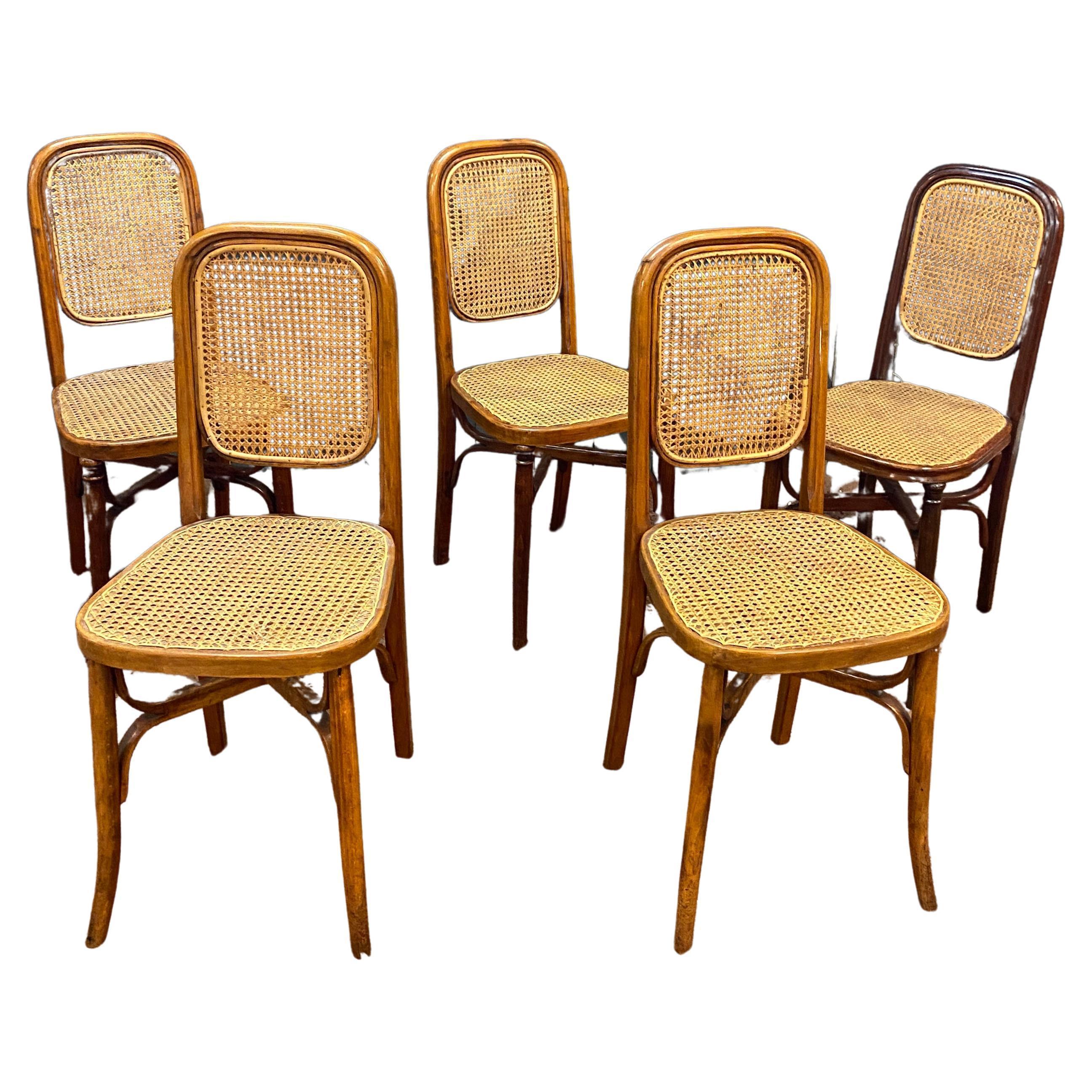 5 Thonet style chairs circa 1900 For Sale