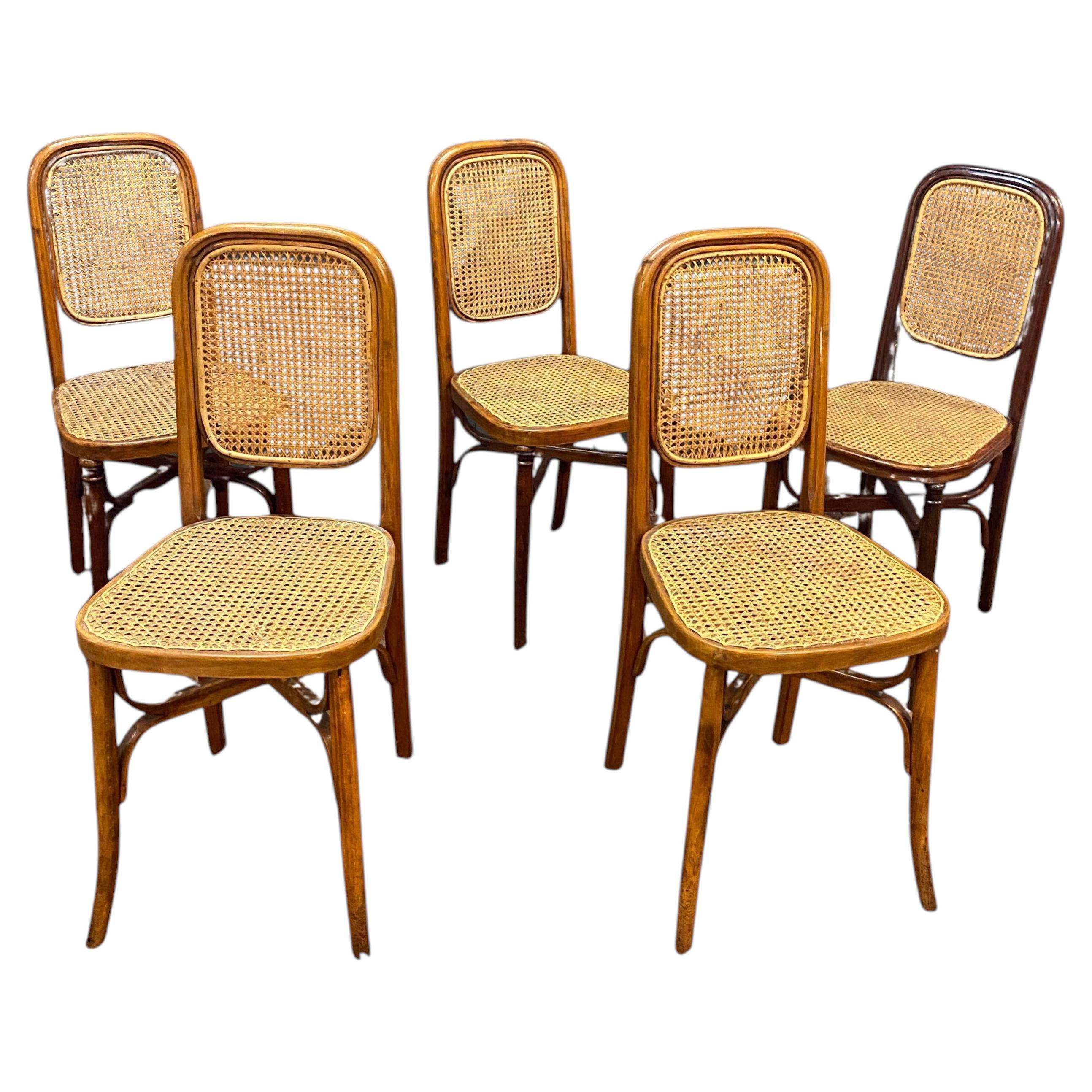 5 Thonet style chairs circa 1900 For Sale