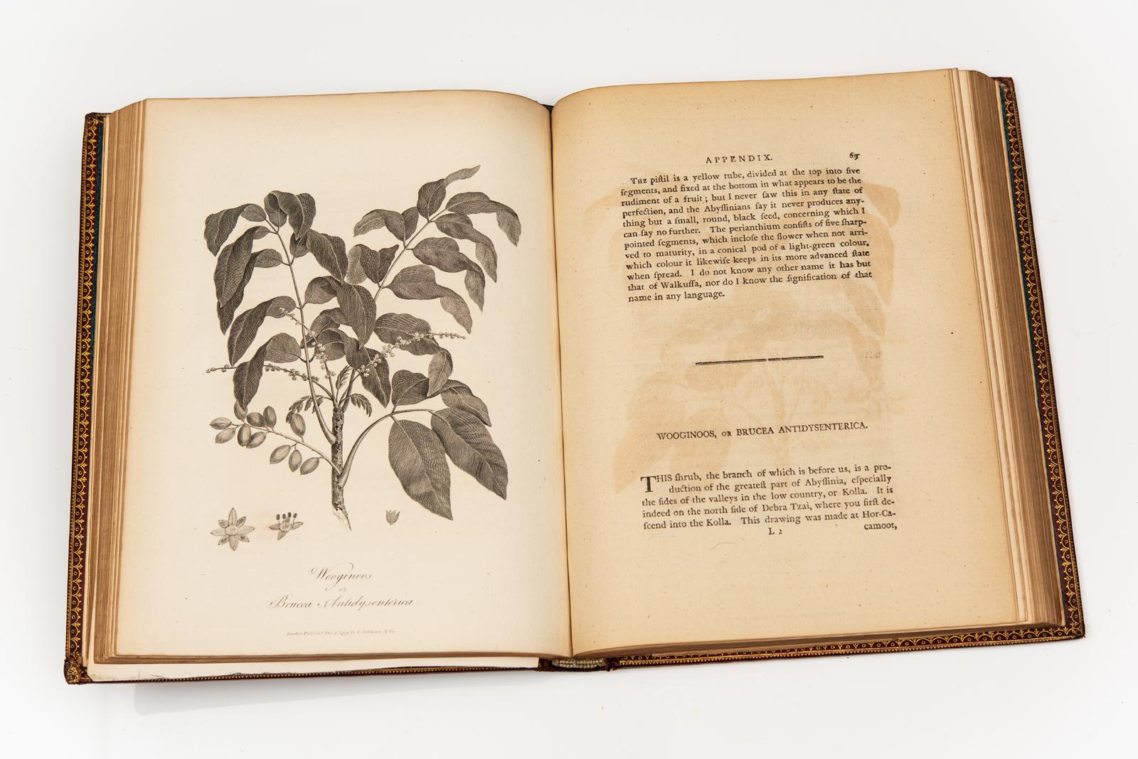 5 Vol. James Bruce Kinnaird Esq., Viajes para descubrir la fuente del Nilo en Bueno estado para la venta en New York, NY