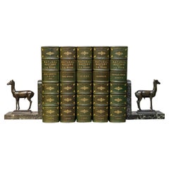 5 Volumes, J. G. Wood, The Illustrated Natural History 