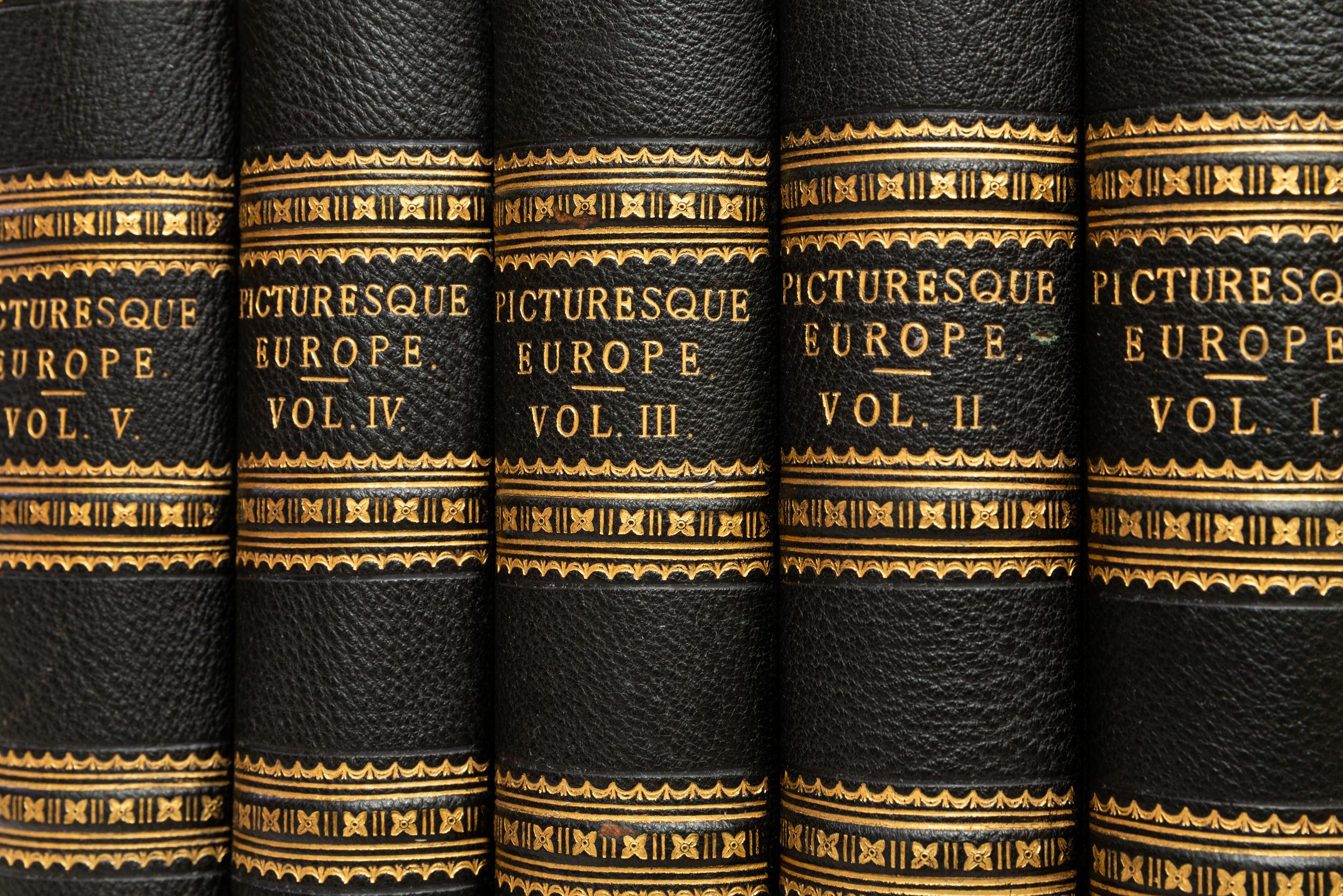 5 Volumes. Picturesque Europe In Good Condition In New York, NY