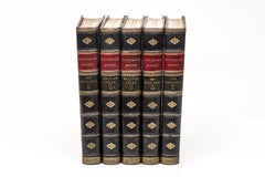 5 volumes. Picturesque Europe