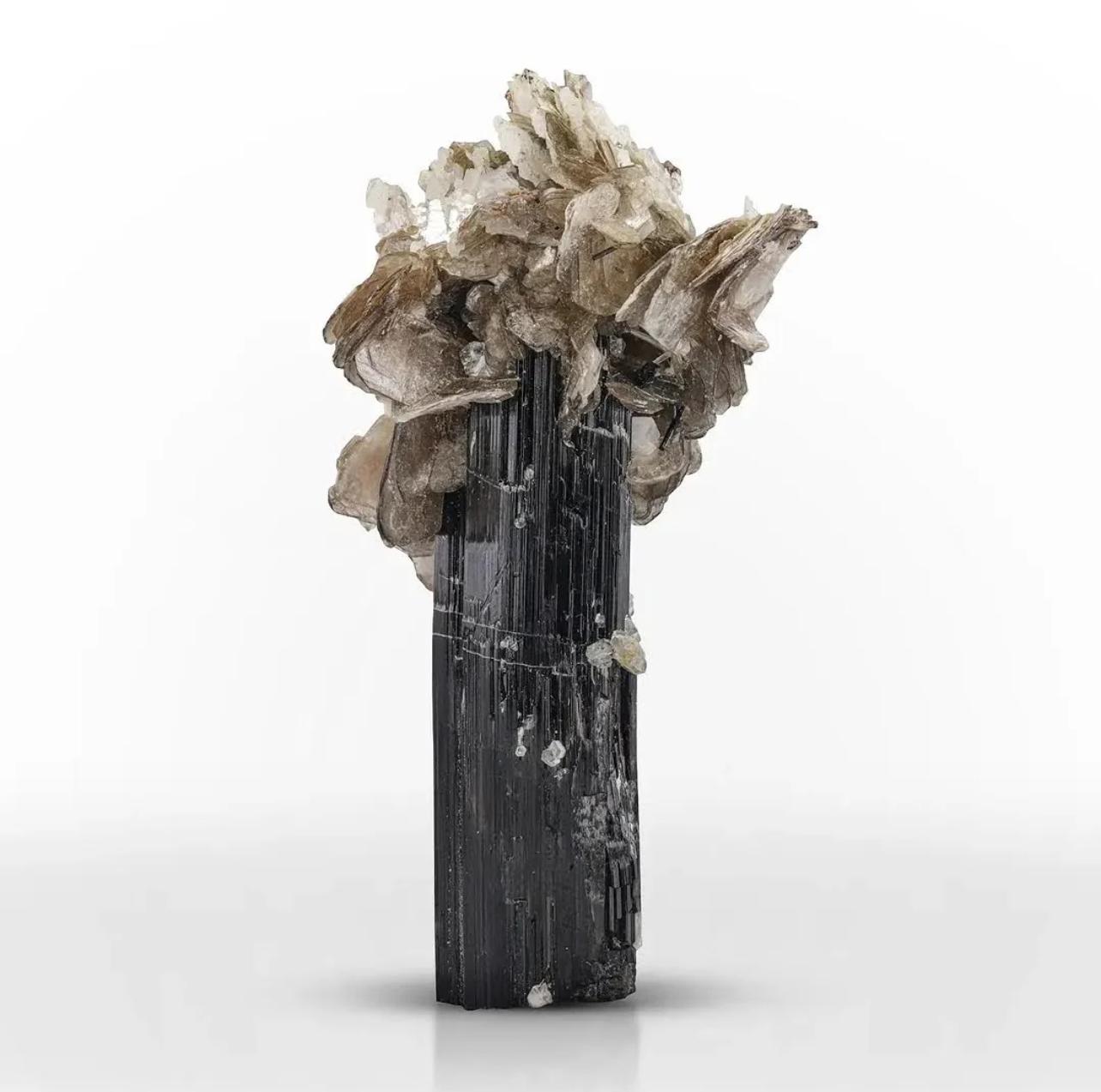 Informazioni sul prodotto:

Tipo di campione: Mica muscovite su tormalina nera Schorl

Peso: 50 grammi

Dimensioni: H: 7,3 x L: 4 x P: 2,5 cm

Origine: Distretto di Skardu, Gilgit Baltistan, Pakistan

Trattamento: Nessuno

Descrizione: 

Questo