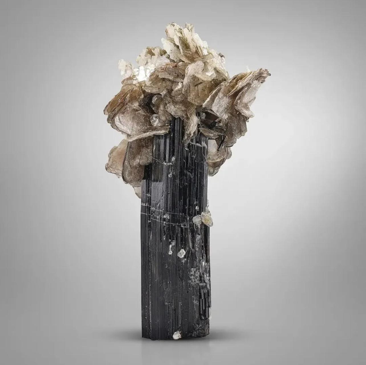 Stile Adam 50 Grammi di robusta mica muscovite su nero di Schorl dal Pakistan in vendita