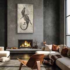 50 Million Year Old Fossil Crocodile Specimen (Green River Formation, Wyoming)