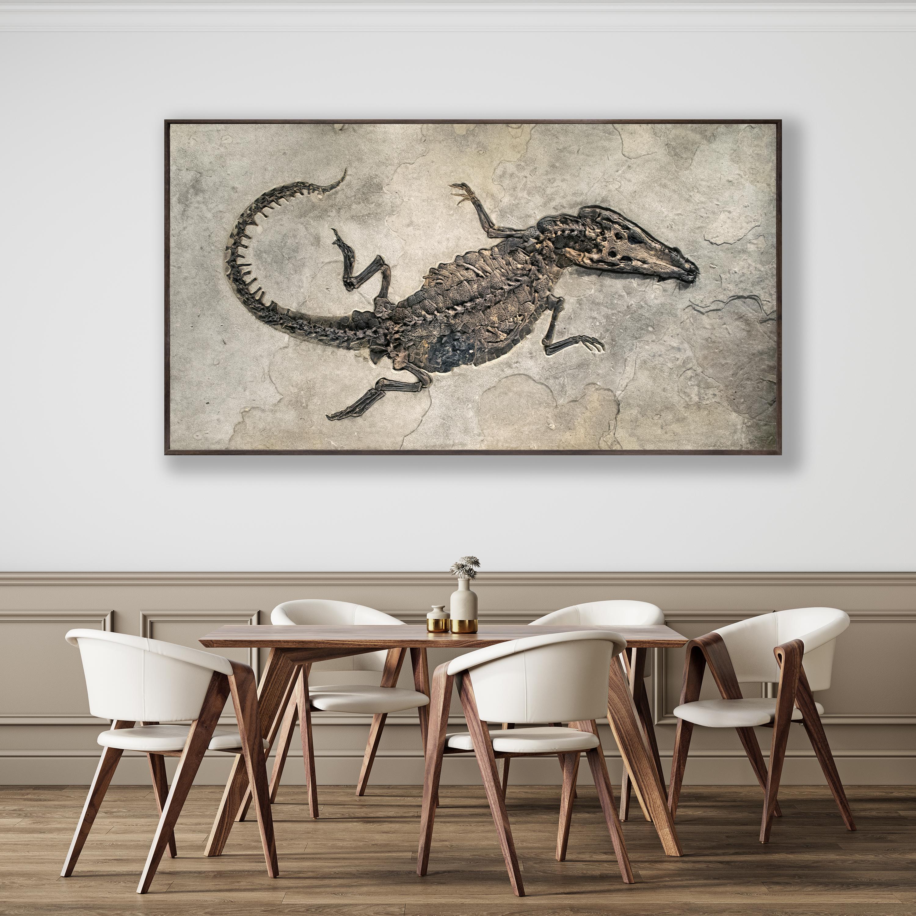 Américain Spécimen de crocodile fossile vieille de 50 millions d'années en pierre, du Wyoming en vente