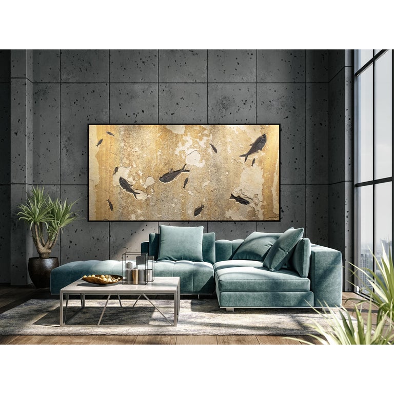 This unique fossil mural features a Mioplosus labracoides, four Diplomystus dentatus, a Cockerellites liops (formerly known as Priscacara), and three Knightia eocaena, all of which are Eocene era fossils dating back about 50 million years. These