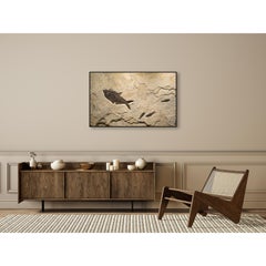 50 Million Year Old Eocene Era Fossil Fish Mural in Stone, from Wyoming
