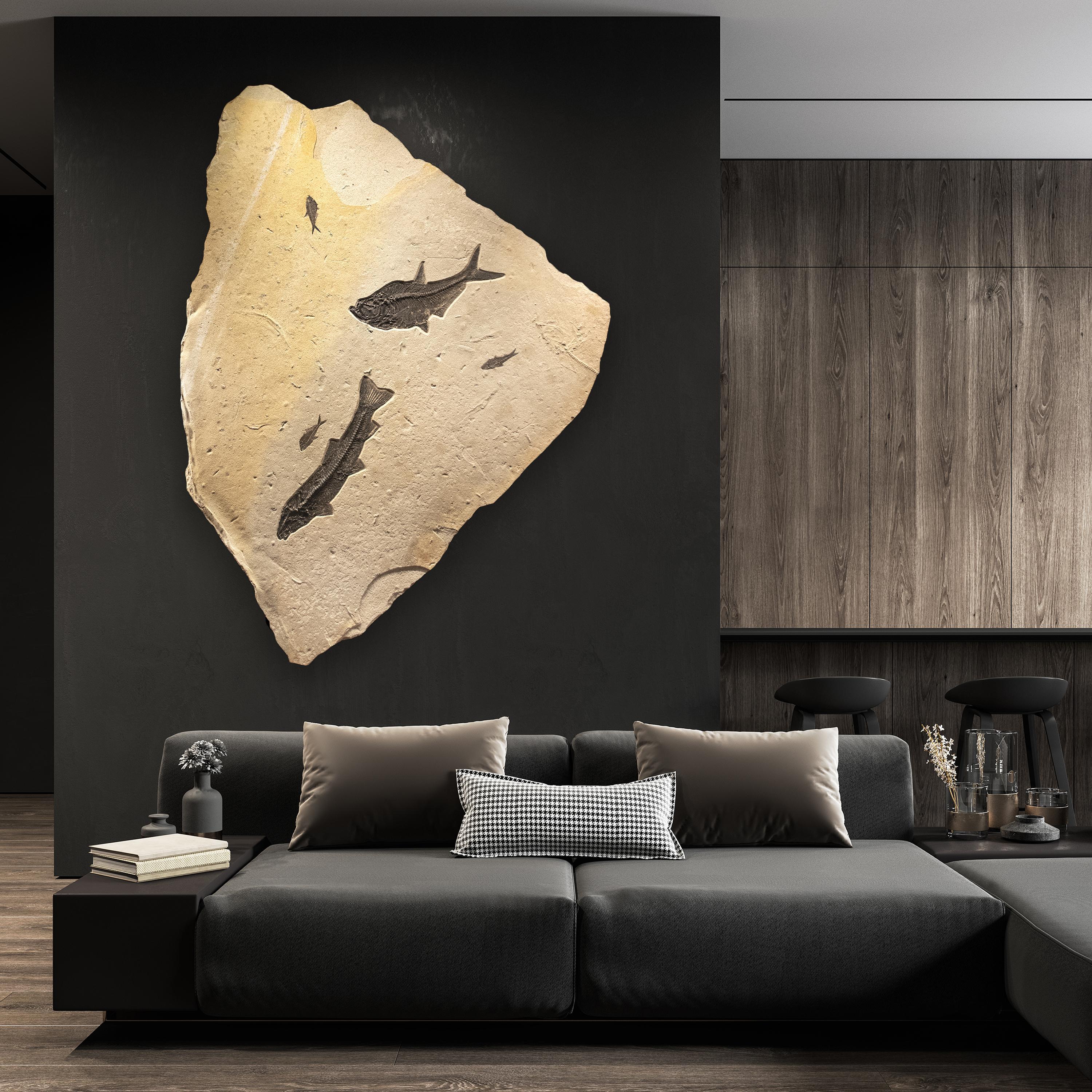 This sculptural fossil mural features an elegant array of famous fossil fish from the Green River Formation: one Notogoneus osculus, three Diplomystus dentatus, and one Knightia eocaena. These are all Eocene era fossils dating back about 50 million