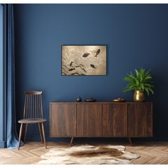 50 Million Year Old Eocene Era Fossil Fish Mural in Stone, from Wyoming