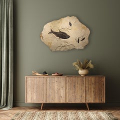 50 Million Year Old Eocene Era Fossil Fish Mural in Stone, from Wyoming