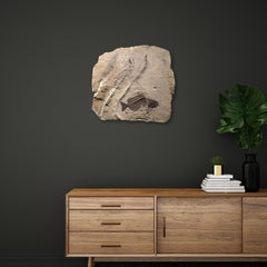 50 Million Year Old Eocene Era Fossil Fish Mural in Stone, from Wyoming