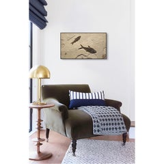 50 Million Year Old Eocene Era Fossil Fish Mural in Stone, from Wyoming