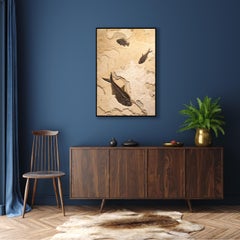 50 Million Year Old Eocene Era Fossil Fish Mural in Stone, from Wyoming