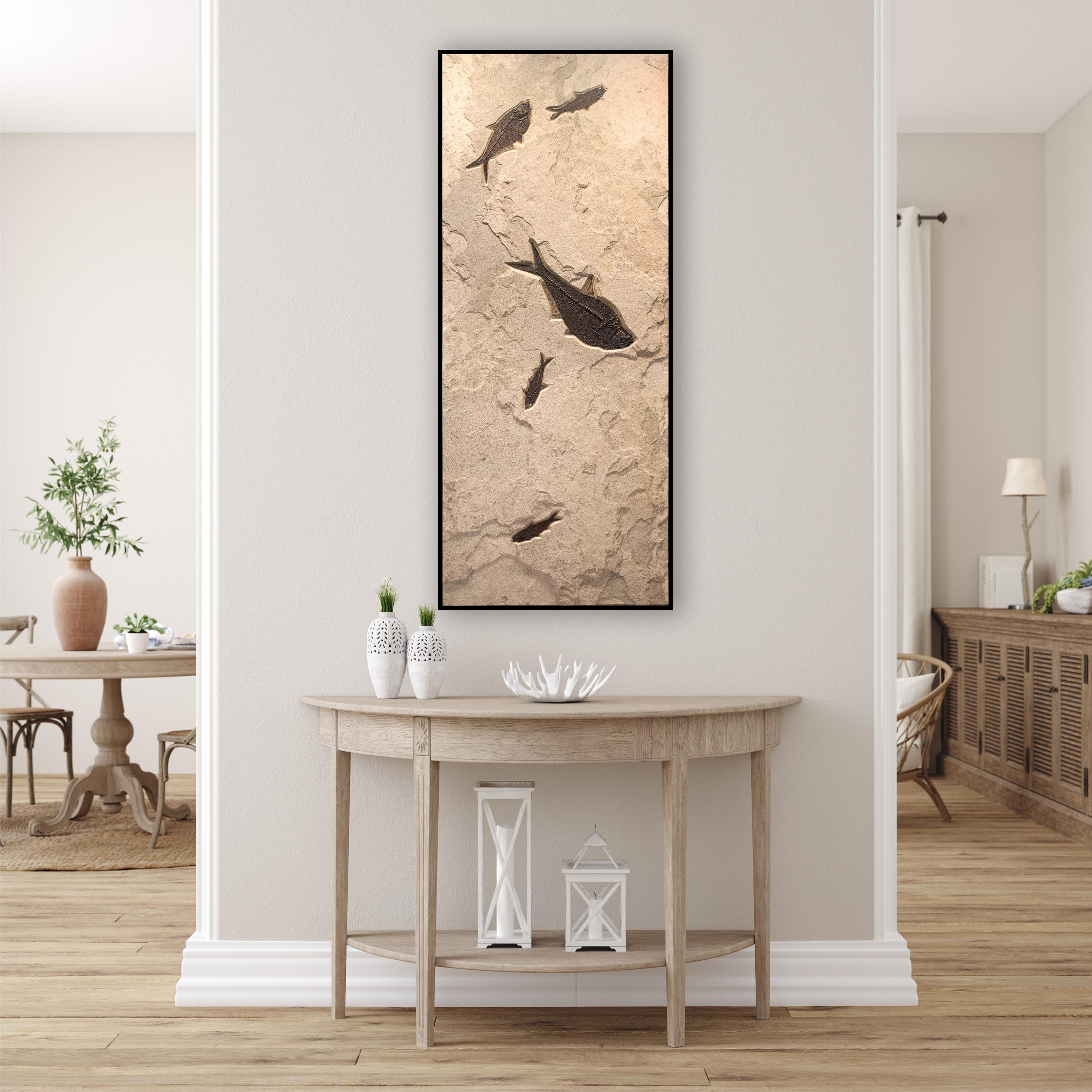 This sculptural stone mural features fossil fish from the Green River Formation: two Diplomystus dentatus and three Knightia eocaena. These fish are Eocene era fossils dating back about 50 million years. These ancient fish are forever preserved in a