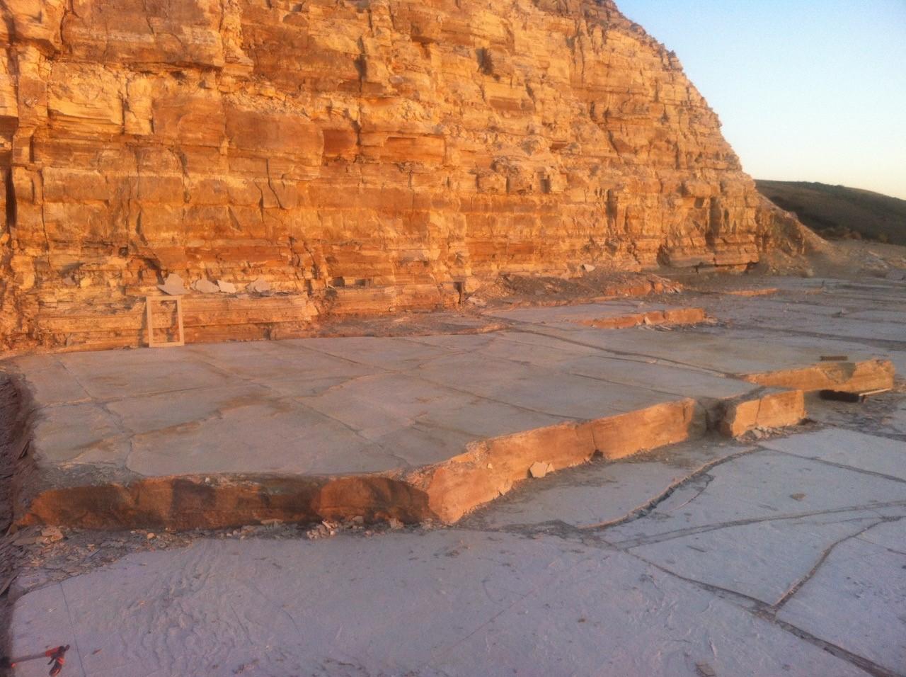 Mural de peces fósiles de 50 millones de años de la Formación Green River, Wyoming Material orgánico en venta