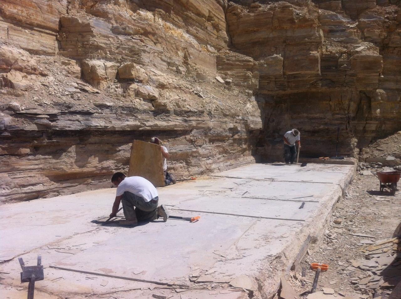 50 Million Year Old Eocene Era Fossil Fish Mural in Stone, from Wyoming 2