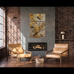 50 Million Year Old Eocene Era Fossil Fish Triptych in Stone, from Wyoming