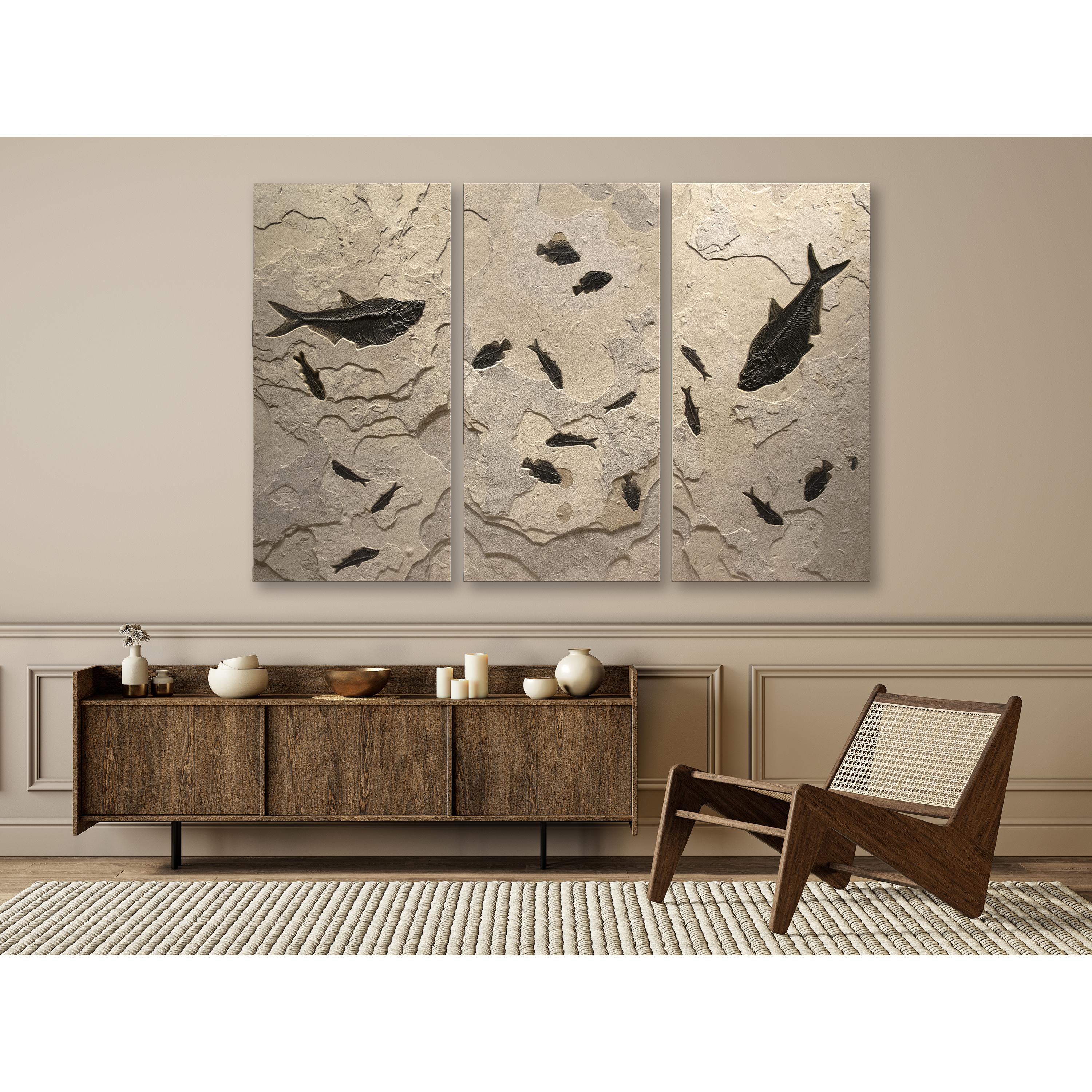 Any of our gorgeous fossil murals will lend drama and significance to a space. Our triptychs increase that impact by three times. This particular trio features a gorgeous sedimentary layer richly colored by volcanic ash; this fossil-bearing