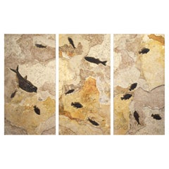 50 Million Year Old Eocene Era Fossil Fish Triptych Mural in Stone, from Wyoming