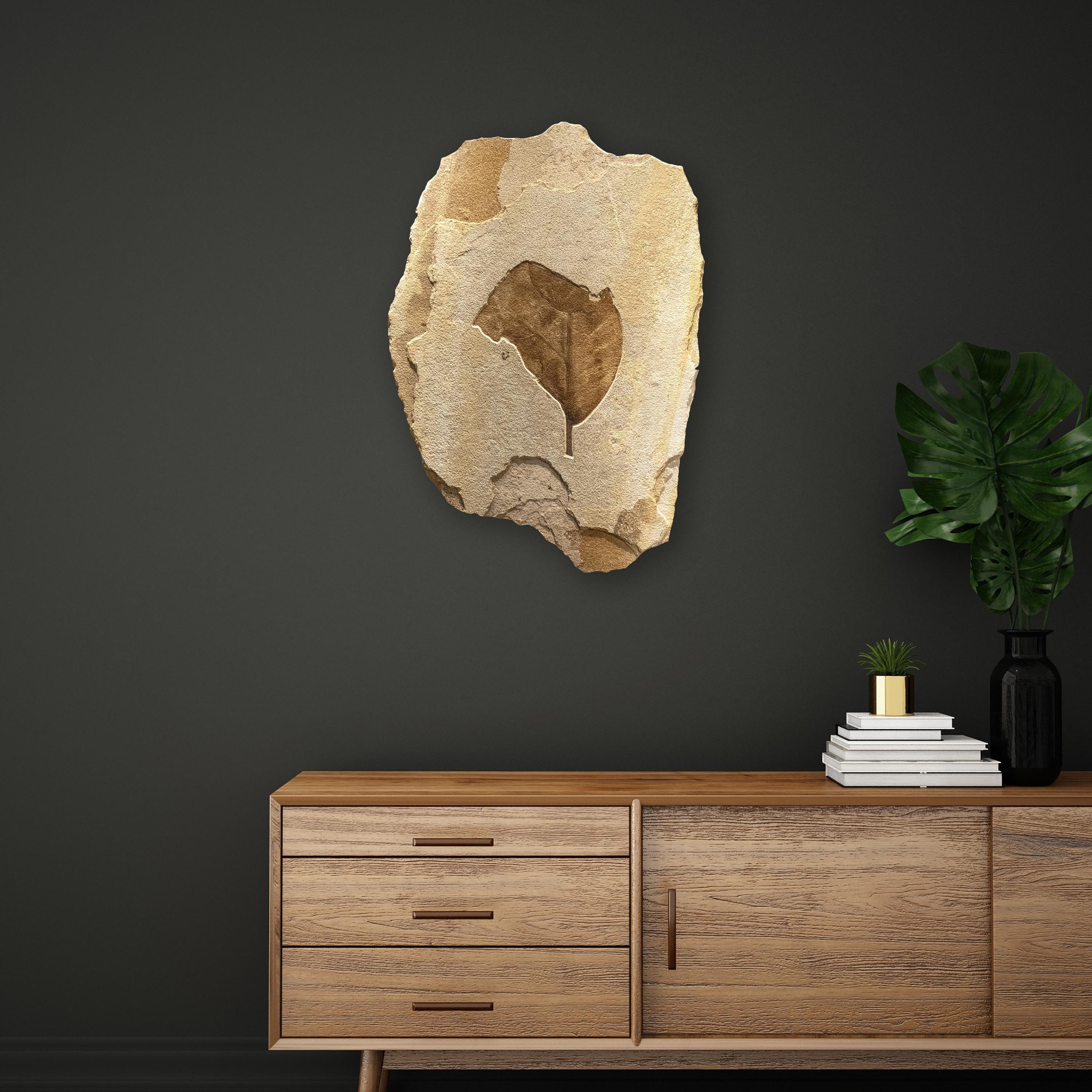 This exquisite and sculptural fossil mural features a large leaf, which is an Eocene era fossil dating back about 50 million years. Fossilized plant life has the potential to produce some of our most aesthetic murals, and due to the extremely