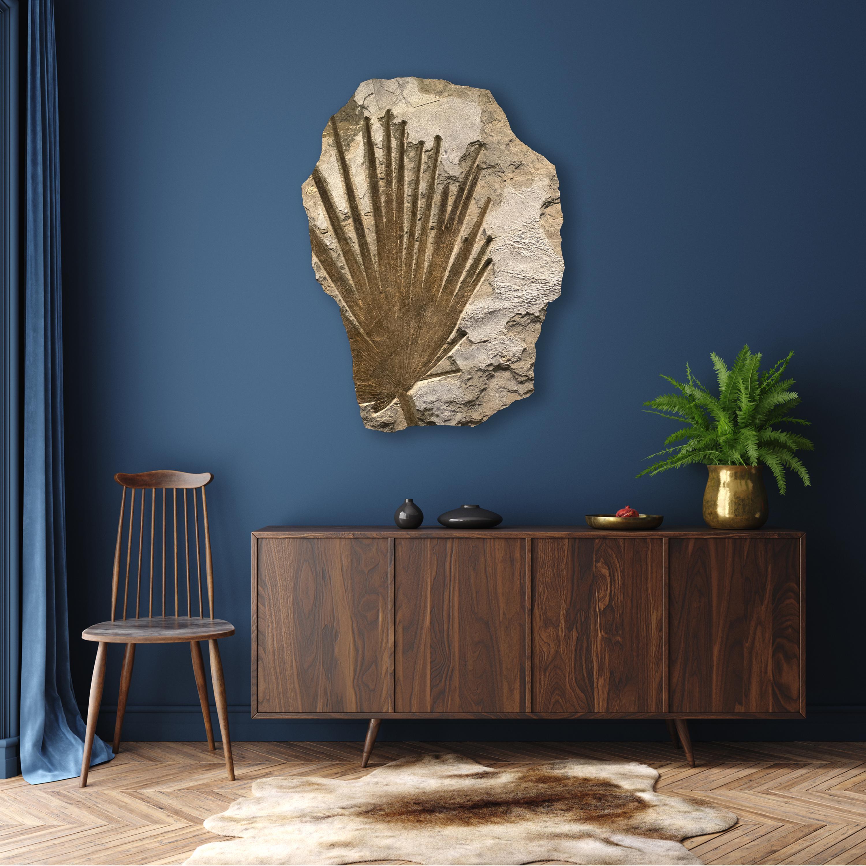This mural features a sculptural fossilized palm frond from the Eocene era, dating back about 50 million years. Fragile plant life often produces some of the most aesthetic Green River Formation fossils we have prepared over the years. Due to the