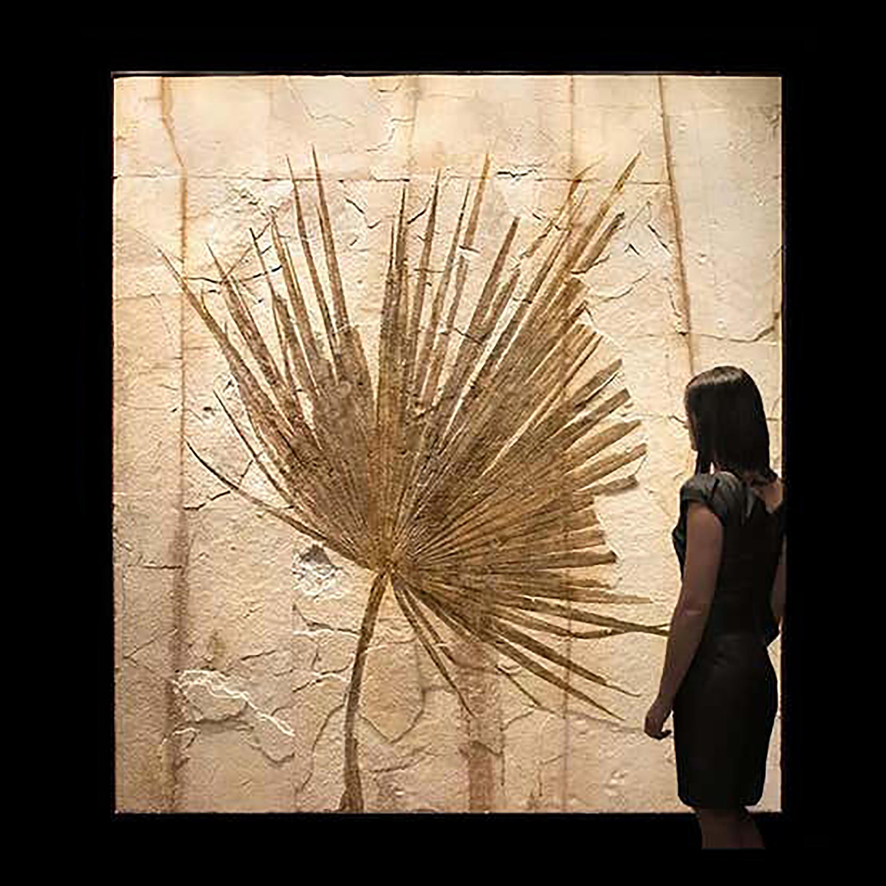 American 50 Million Year Old Eocene Era Fossil Palm Frond Mural in Stone, from Wyoming