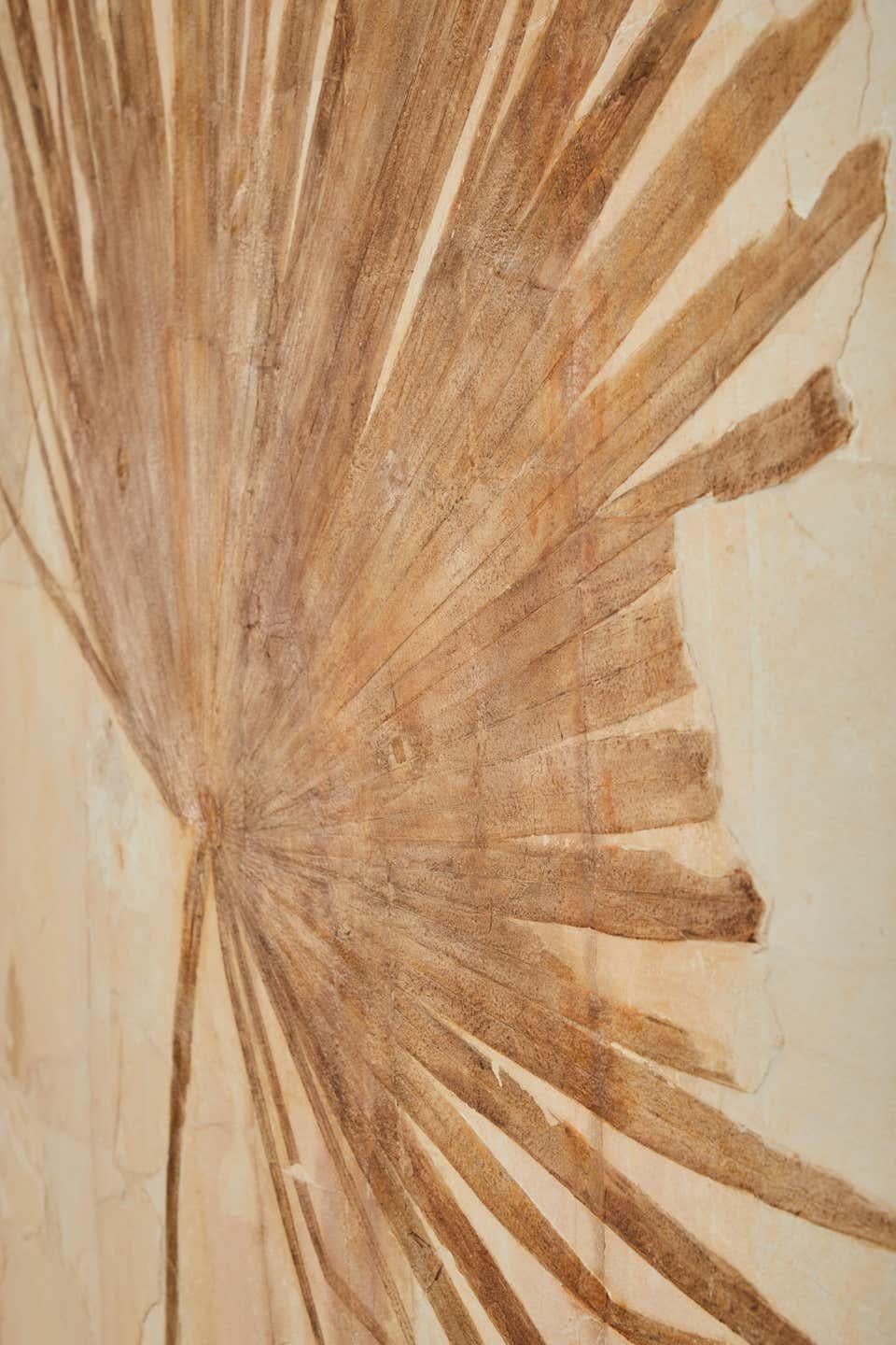 50 Million Year Old Eocene Era Fossil Palm Frond Mural in Stone, from Wyoming In New Condition In Logan, UT