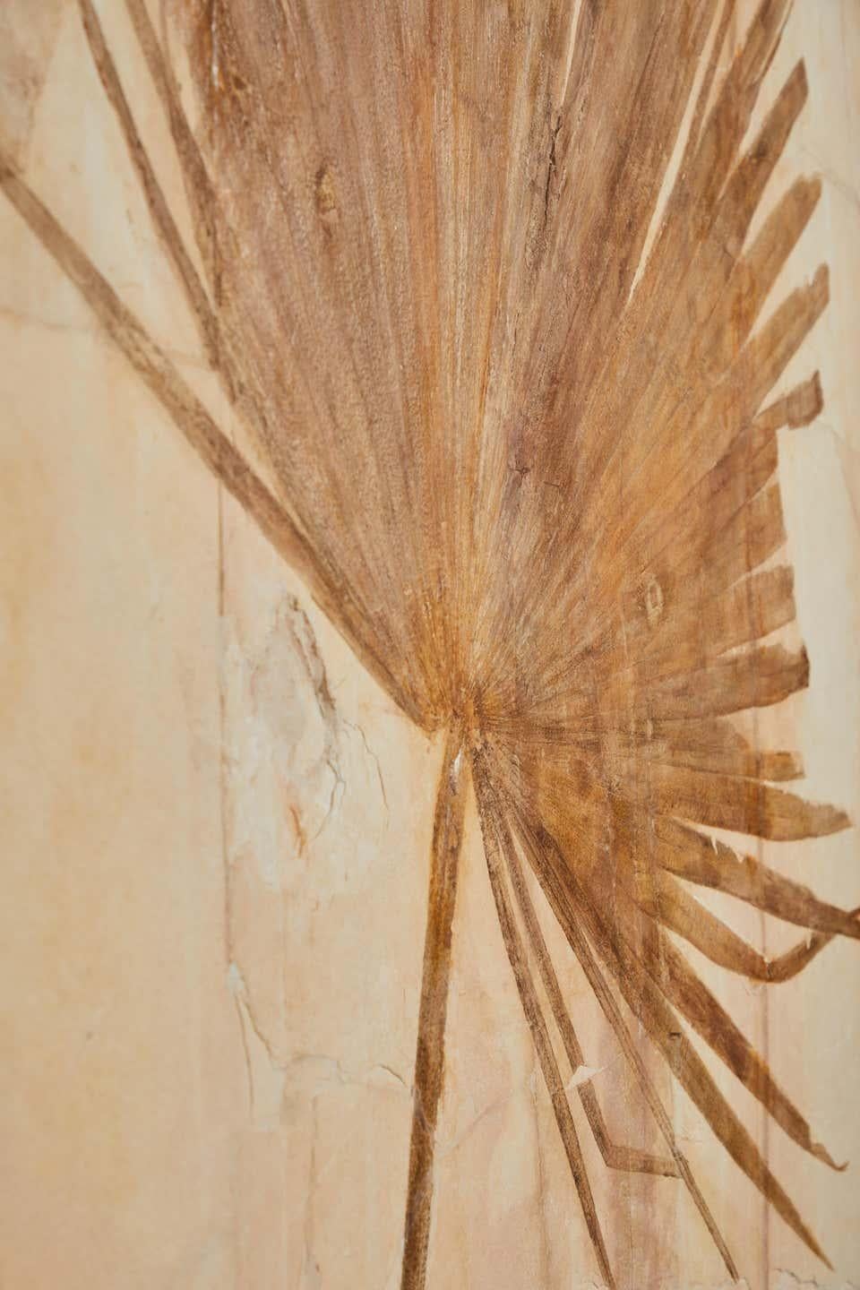 Organic Material 50 Million Year Old Eocene Era Fossil Palm Frond Mural in Stone, from Wyoming