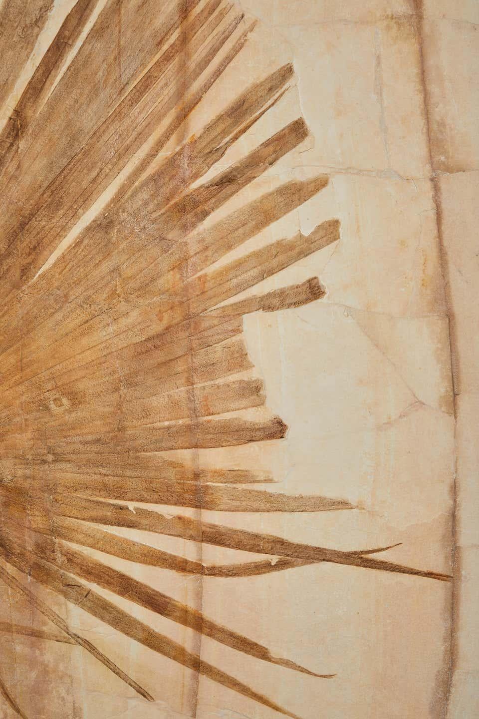 50 Million Year Old Eocene Era Fossil Palm Frond Mural in Stone, from Wyoming 1