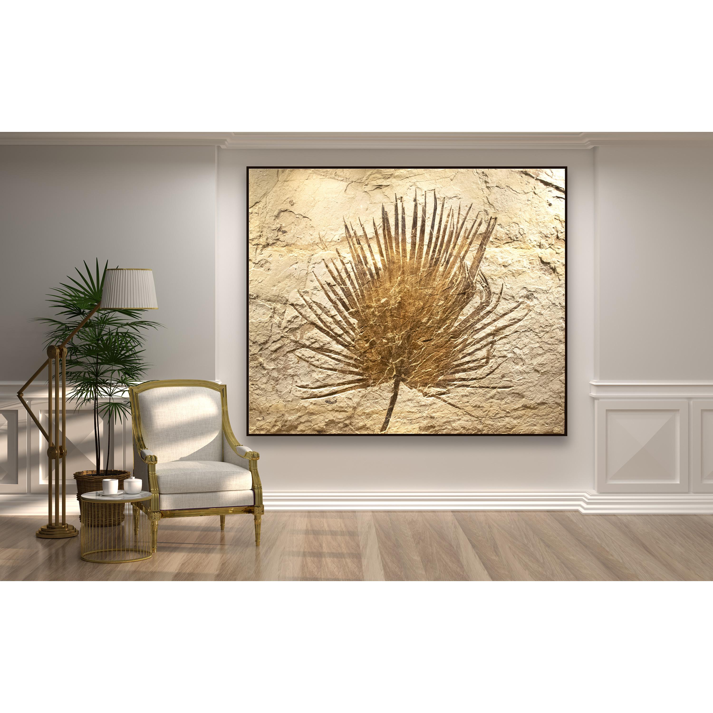 An impressively sized and splayed palm specimen makes for an incredible statement. This elegant 50 million year old fossil makes an exquisite piece of art, the rarity of which can not be understated.

The mural measures approximately 5.75 feet