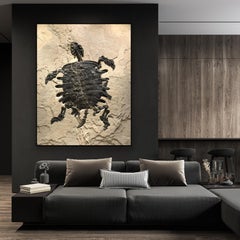 50 Million Year Old Eocene Fossil Giant Turtle Specimen in Stone, from Wyoming