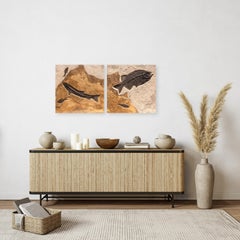50 Million Year Old Eocene Fossil Fish Diptych, Green River Formation, Wyoming