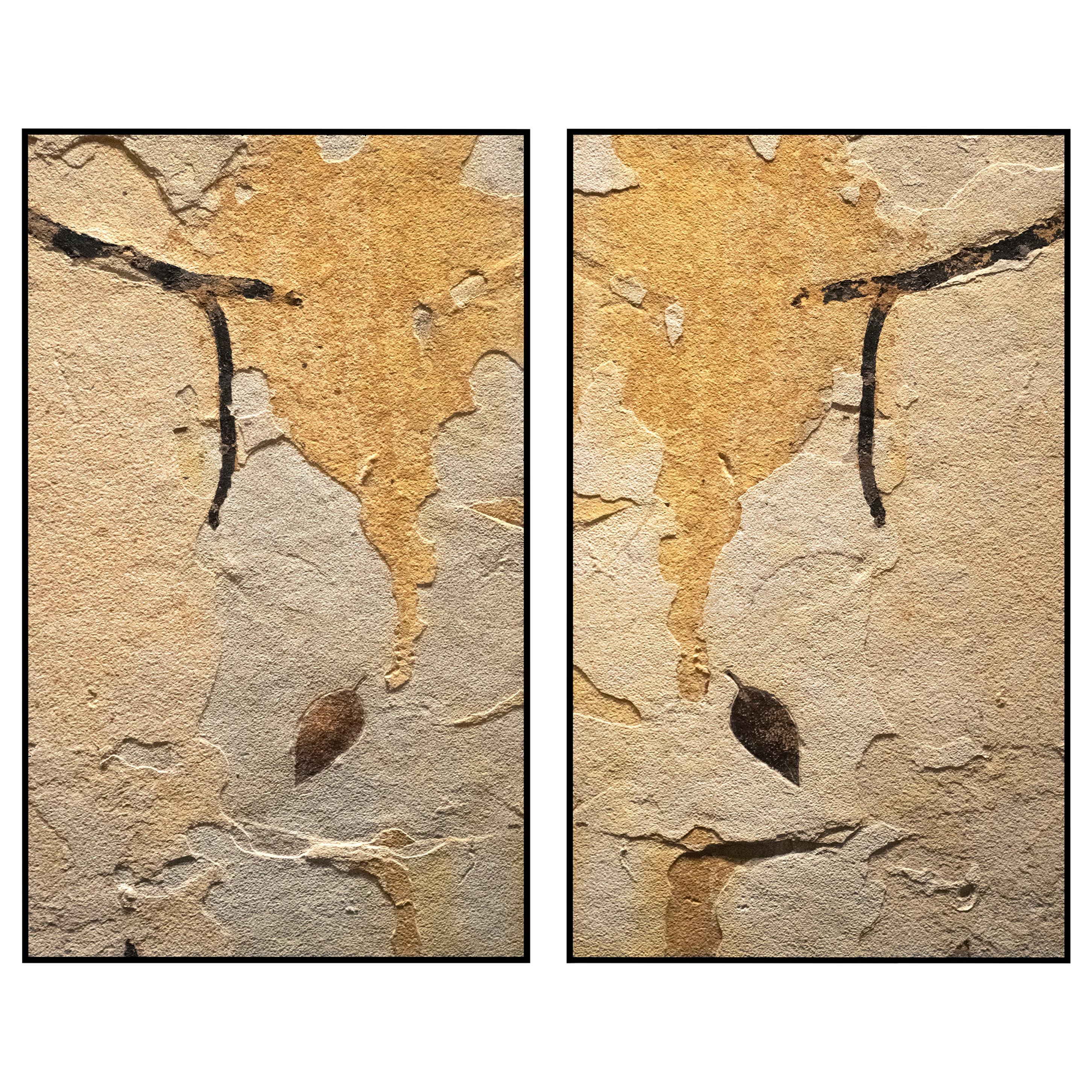 50 Million Year Old Fossil Leaf & Branch Diptych Mural in Stone, from Wyoming