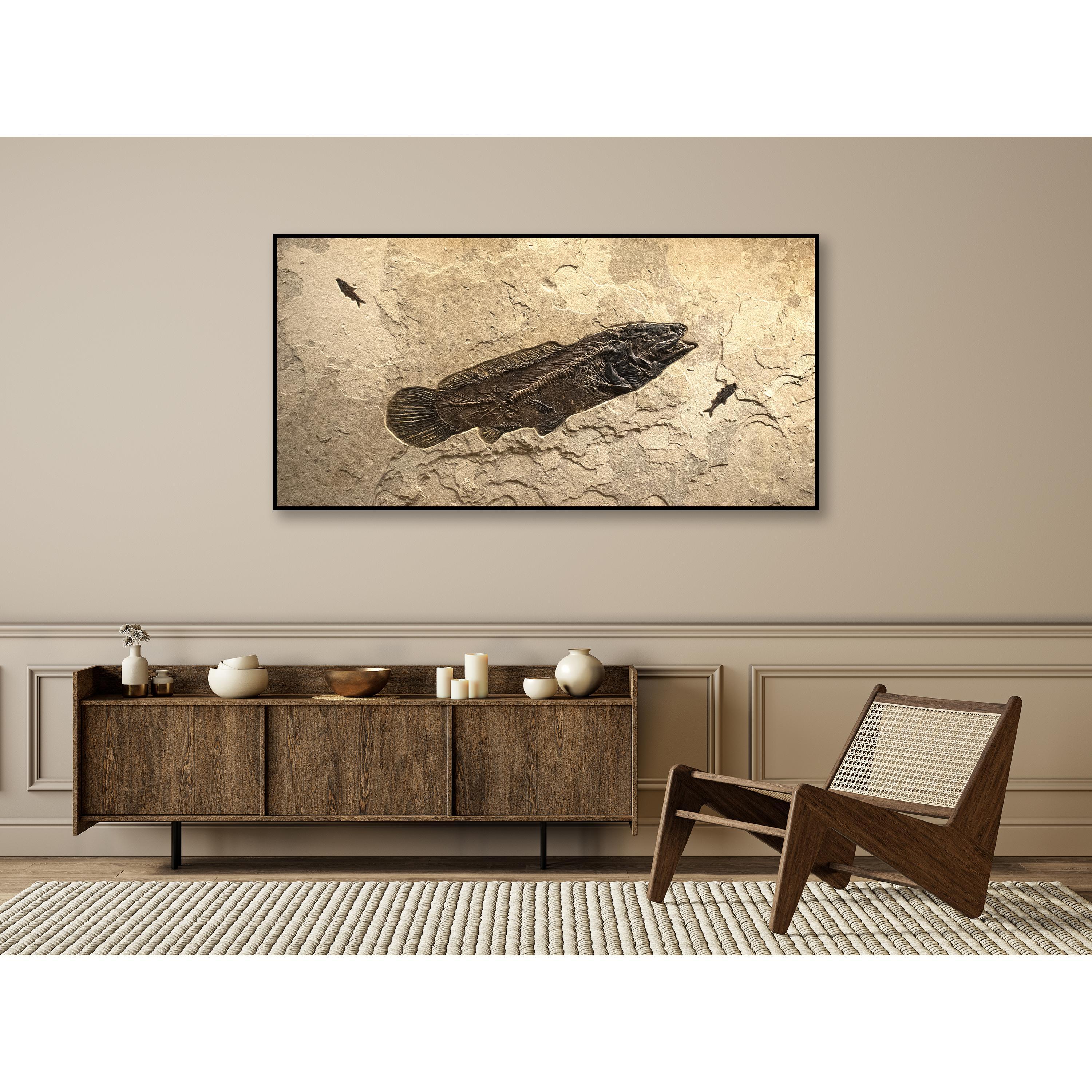This fossil mural features an Amia pattersoni, an exceptionally rare Eocene era fossil fish dating back about 50 million years. This ancient bowfin has a remarkable degree of preservation, showcasing highly detailed scale pattern above the vertebral