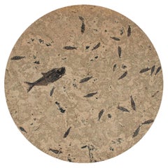 50 Million Year Old Fossil Fish Dining Table, Green River Formation, Wyoming