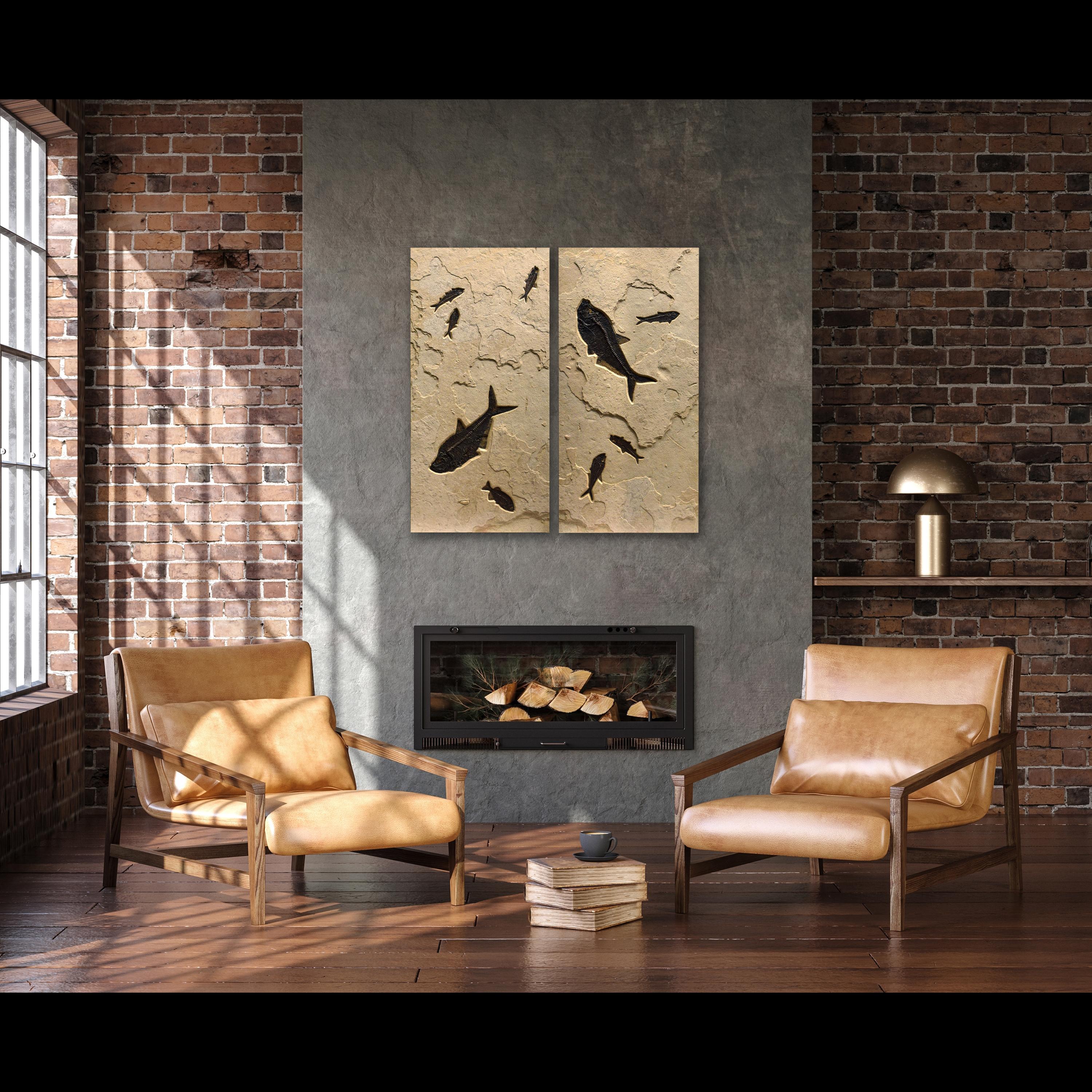 Sumérgete en la belleza intemporal de la historia natural con nuestra exquisita colección de arte fósil de lujo. Cada pieza de Green River Fossil Company, que muestra impresionantes especímenes naturales de la legendaria Formación Green River de
