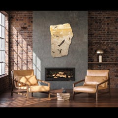 50 Million Year Old Fossil Fish from the Green River Formation, Wyoming